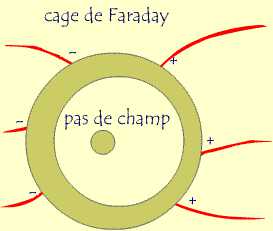 cage_faraday